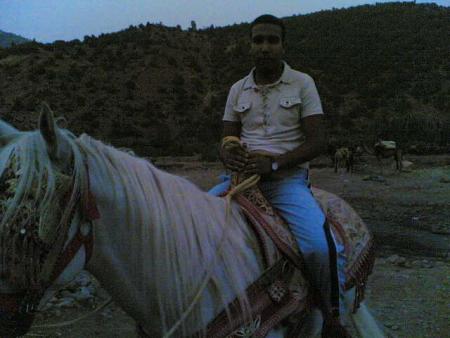 isam_fbi@passport.com